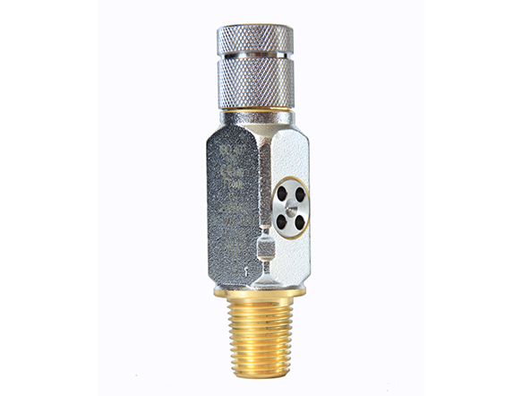 PIN INDEX VALVES page image